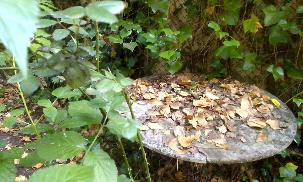 Herbst-Ferien 2025