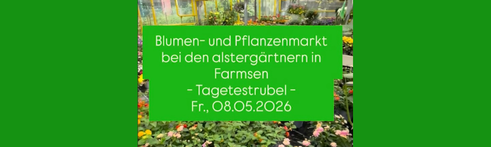Tagetestrubel der alstergärtner der Farsen